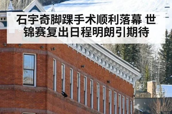 石宇奇脚踝手术顺利落幕 世锦赛复出日程明朗引期待